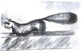 Gef the Mongoose